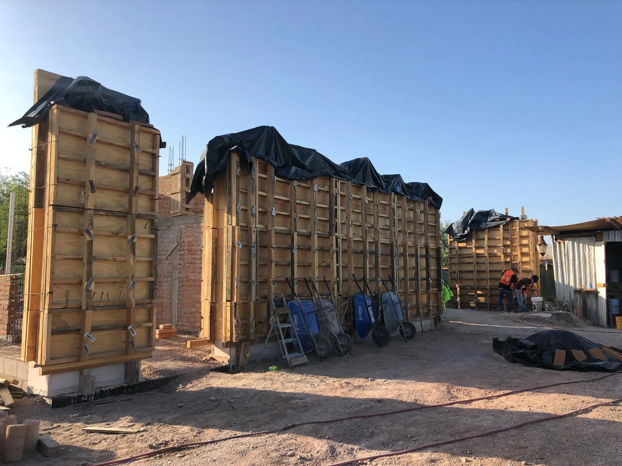 Casa Edena, proceso 6